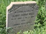 image of grave number 478414